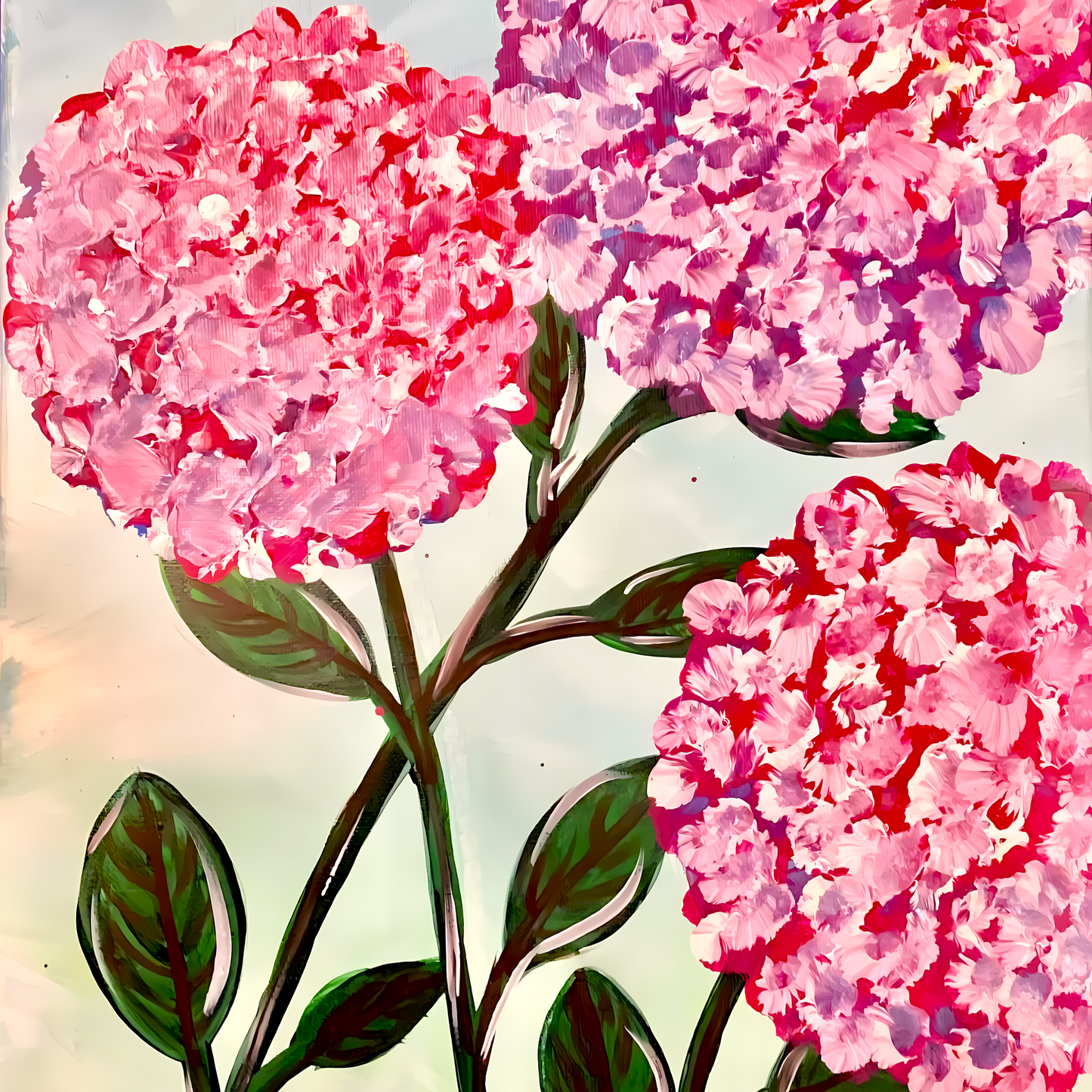 Blossoming Hydrangeas